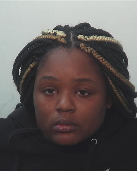 Mugshot of Katrina Figgs