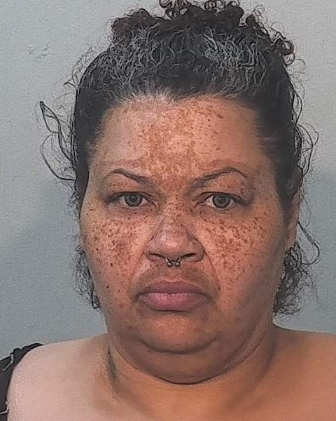 Mugshot of Sarah Hudson