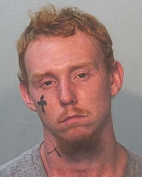Mugshot of Alixx Angus