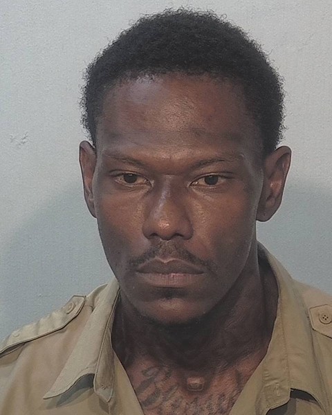 Mugshot of Bryan Fields