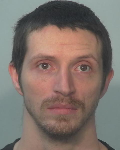 Mugshot of Ryan Stiles