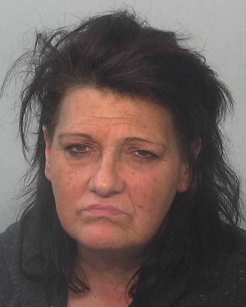 Mugshot of Nannette Barile