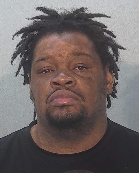 Mugshot of Demetris Robinson