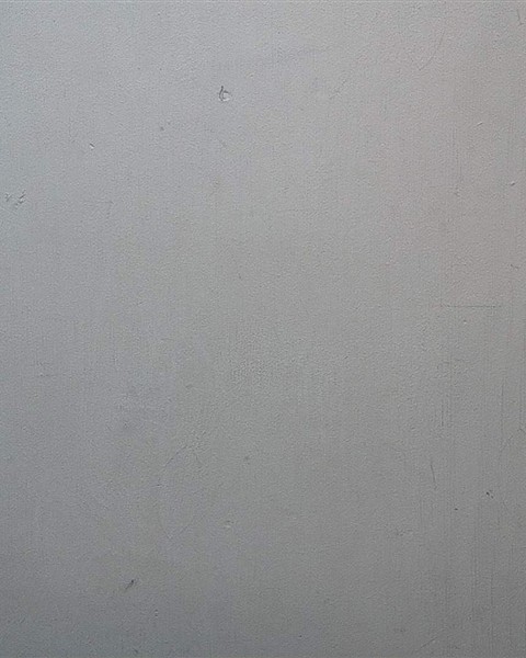 Mugshot of Adam Capi
