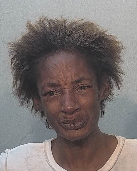 Mugshot of Lynnette Nowlin