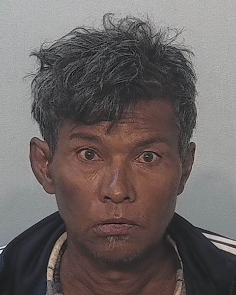 Mugshot of Ha Ned