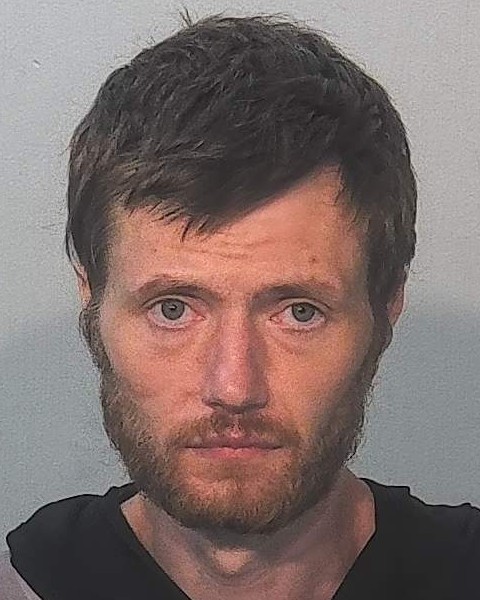 Mugshot of Ian York