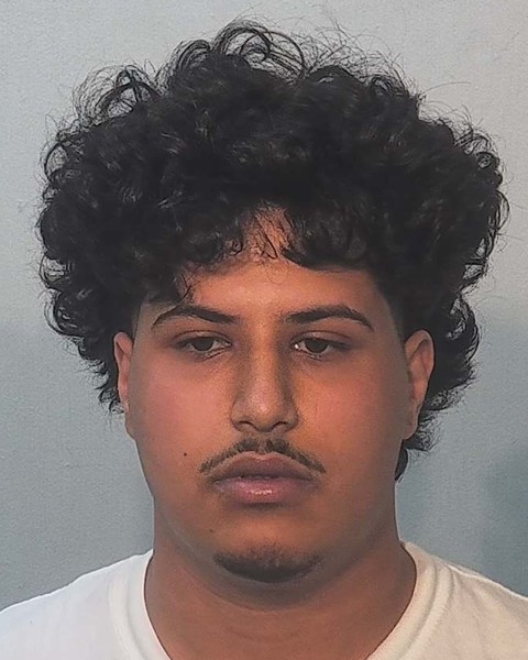 Mugshot of David Khalil
