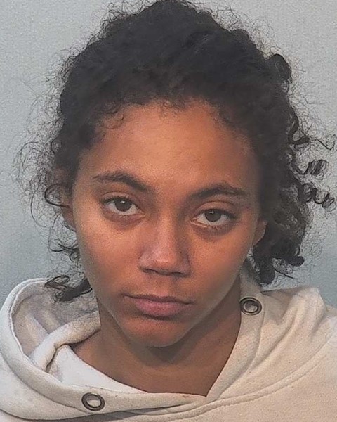 Mugshot of Diane Young