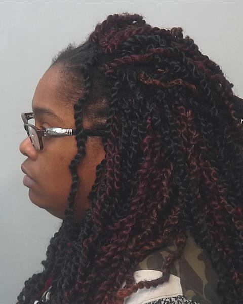 Mugshot of Breann Greer