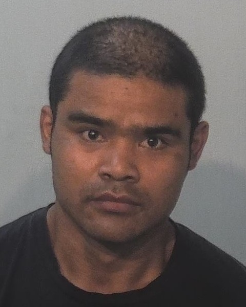 Mugshot of Sar Li