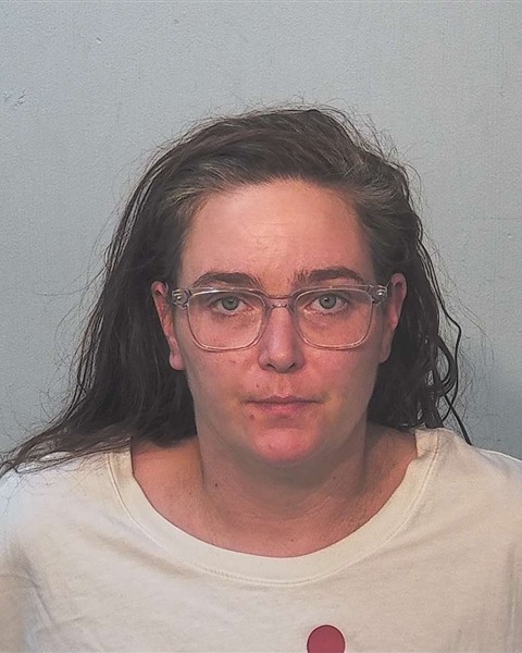 Mugshot of Chelsie Schele