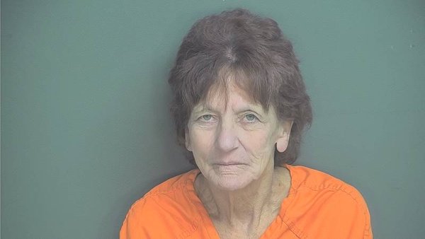 Mugshot of LISA K FERCH