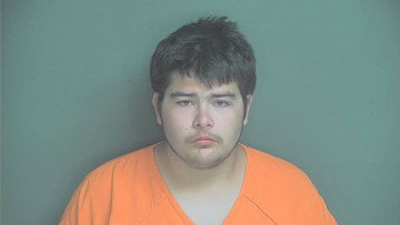 Mugshot of Mark Stebbins