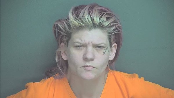 Mugshot of Amber Lee Mcintosh