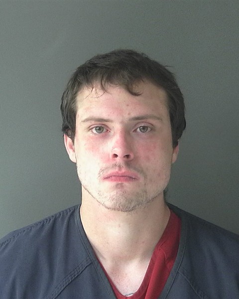 Mugshot of Peter David Williams