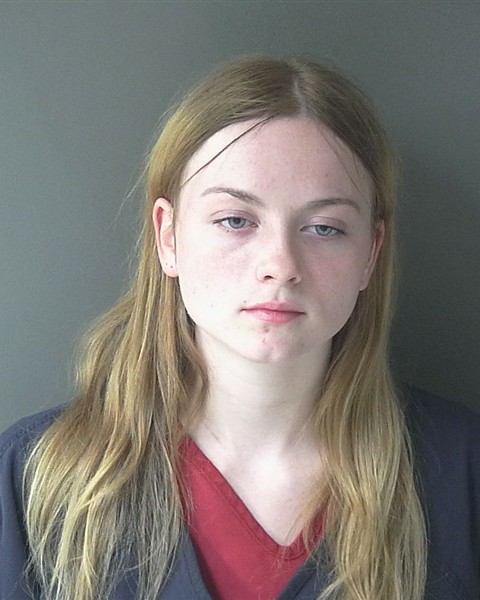 Mugshot of Erica Jean Critser
