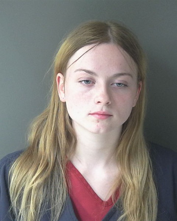 Mugshot of Erica Jean Critser