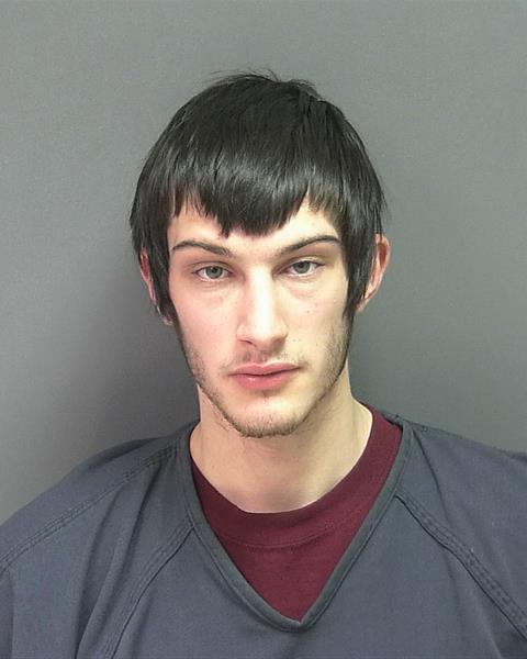 Mugshot of Brian Kevin Carlson
