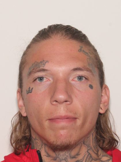 Mugshot of Reed Lane Ford
