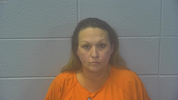 Mugshot of LISA SUZANNE WEBSTER