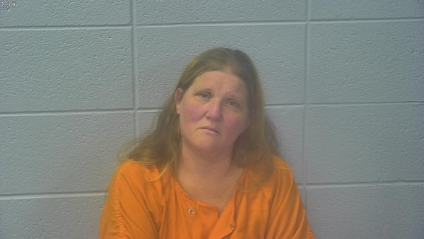 Mugshot of DANA MARIE STURGEON