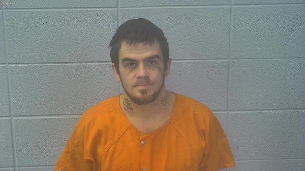 Mugshot of MICHAEL JAMES NELSON
