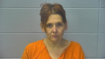 Mugshot of TERESA SHANNETTE FLEMING