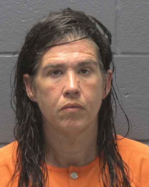 Mugshot of AMANDA RAQUEL DEROO