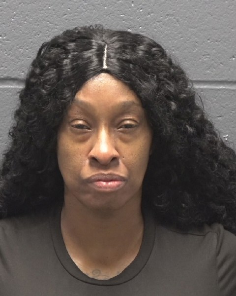 Mugshot of NICOLETTE ANITA WHITFIELD