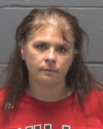 Mugshot of MELONY ANN FISHER