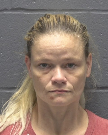 Mugshot of BRANDY NICHOLE GARRETT
