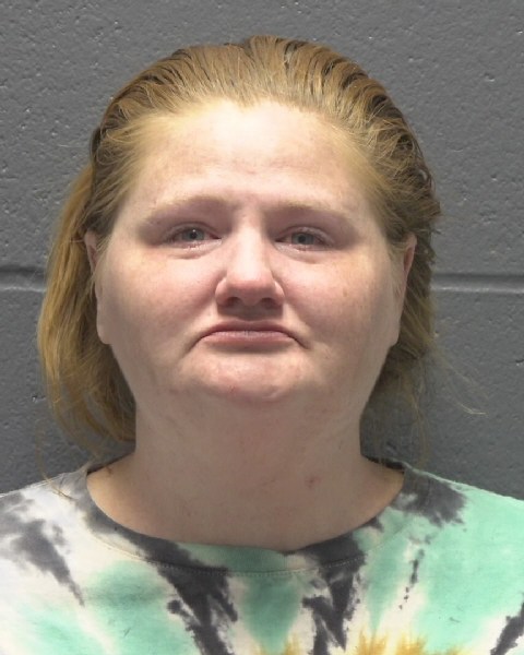 Mugshot of ALEXIS CASSANDRA FLEENOR