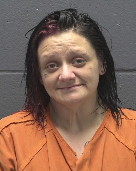 Mugshot of HAYLEY ELIZABETH WILLIAMS