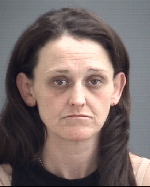 Mugshot of JENNIFER NICOLE WILKERSON