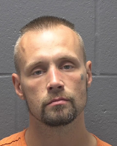 Mugshot of MICHAEL HERALD