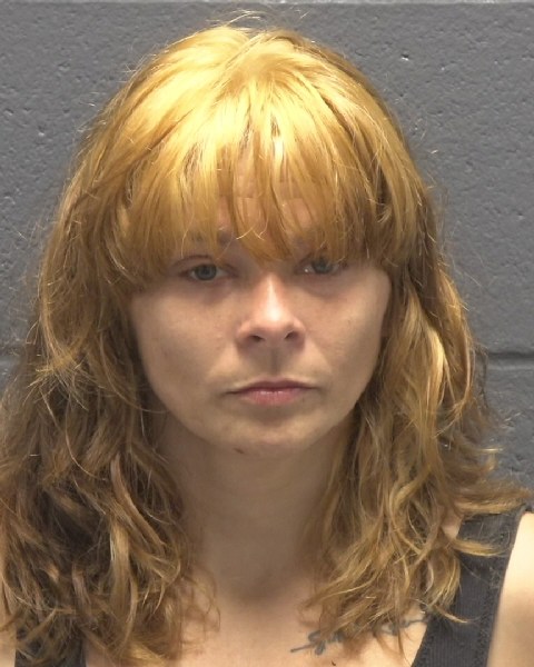 Mugshot of SAMANTHA ELAINE HUDSPETH