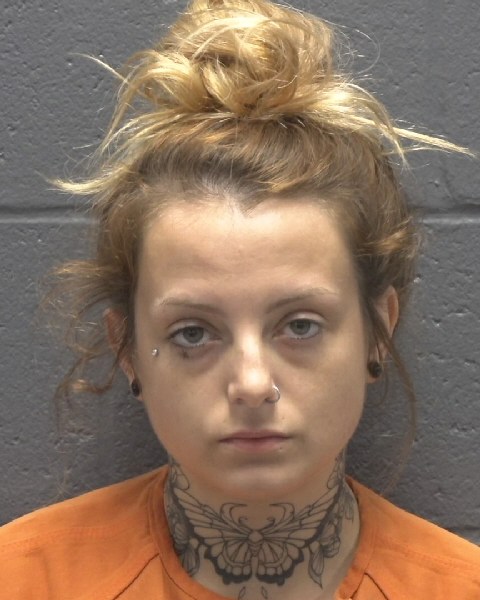 Mugshot of BREANNA L JOHNSON