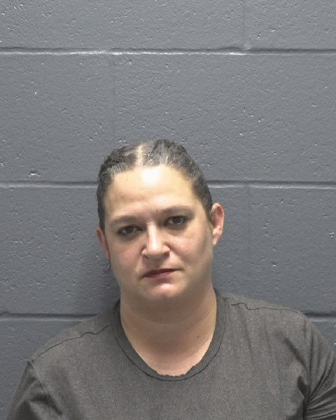 Mugshot of WHITNEY OPAL MITCHELL