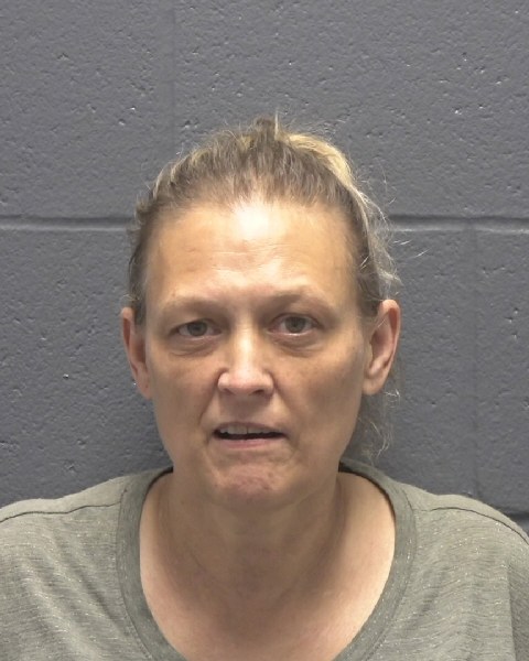 Mugshot of JACQUELINE SUE LLOYD