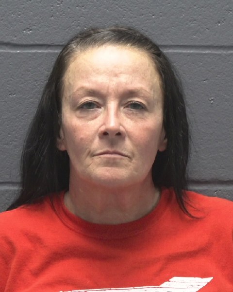 Mugshot of MELISSA JANE THOMPSON
