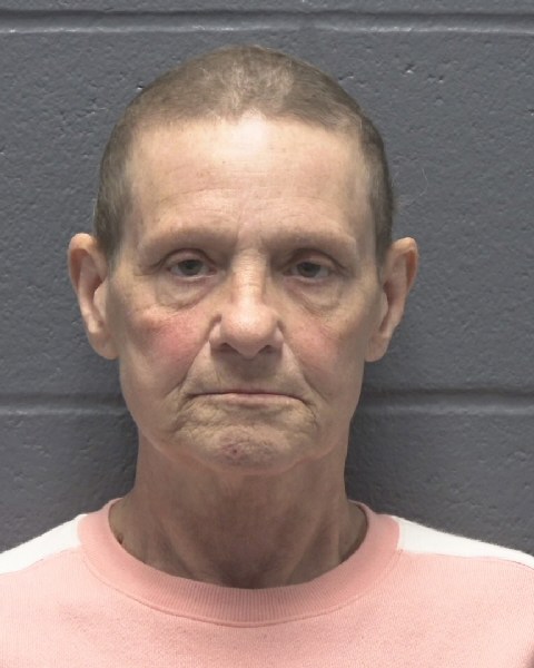 Mugshot of MALISSA LYNN LINDER