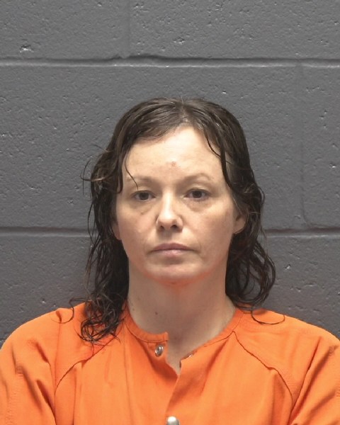 Mugshot of JOELYN SUE SEIB