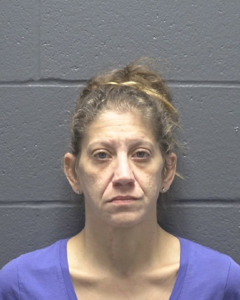 Mugshot of STEPHANIE LYNN WILSON