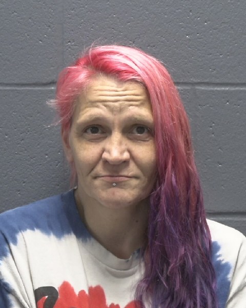 Mugshot of SUSAN ELIZABETH MONCEAUX