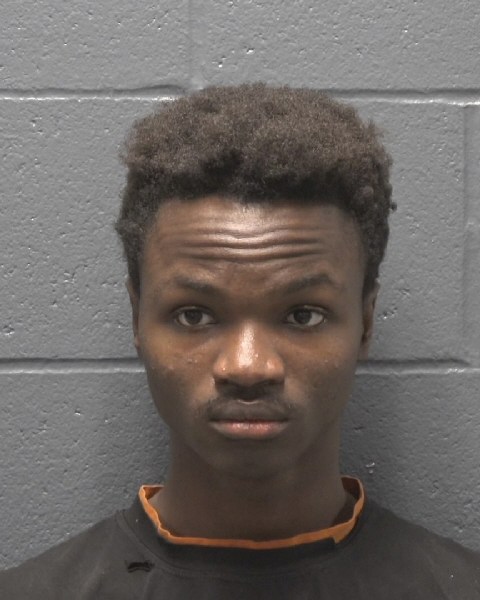 Mugshot of TEKOU TONY GEORGE CHI