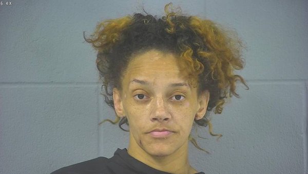 Mugshot of DIONNA MICHELLE COTTON