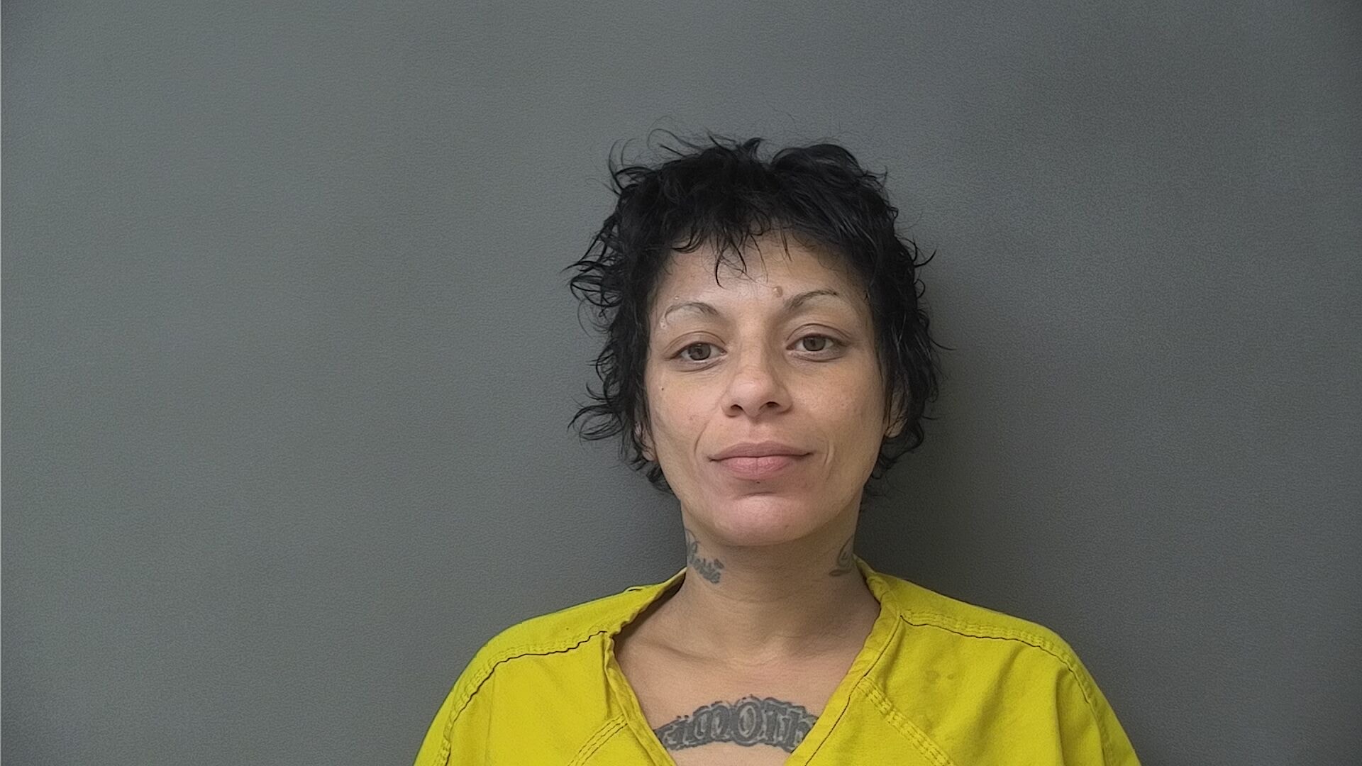 Mugshot of JESSICA NMI N/A DELERME