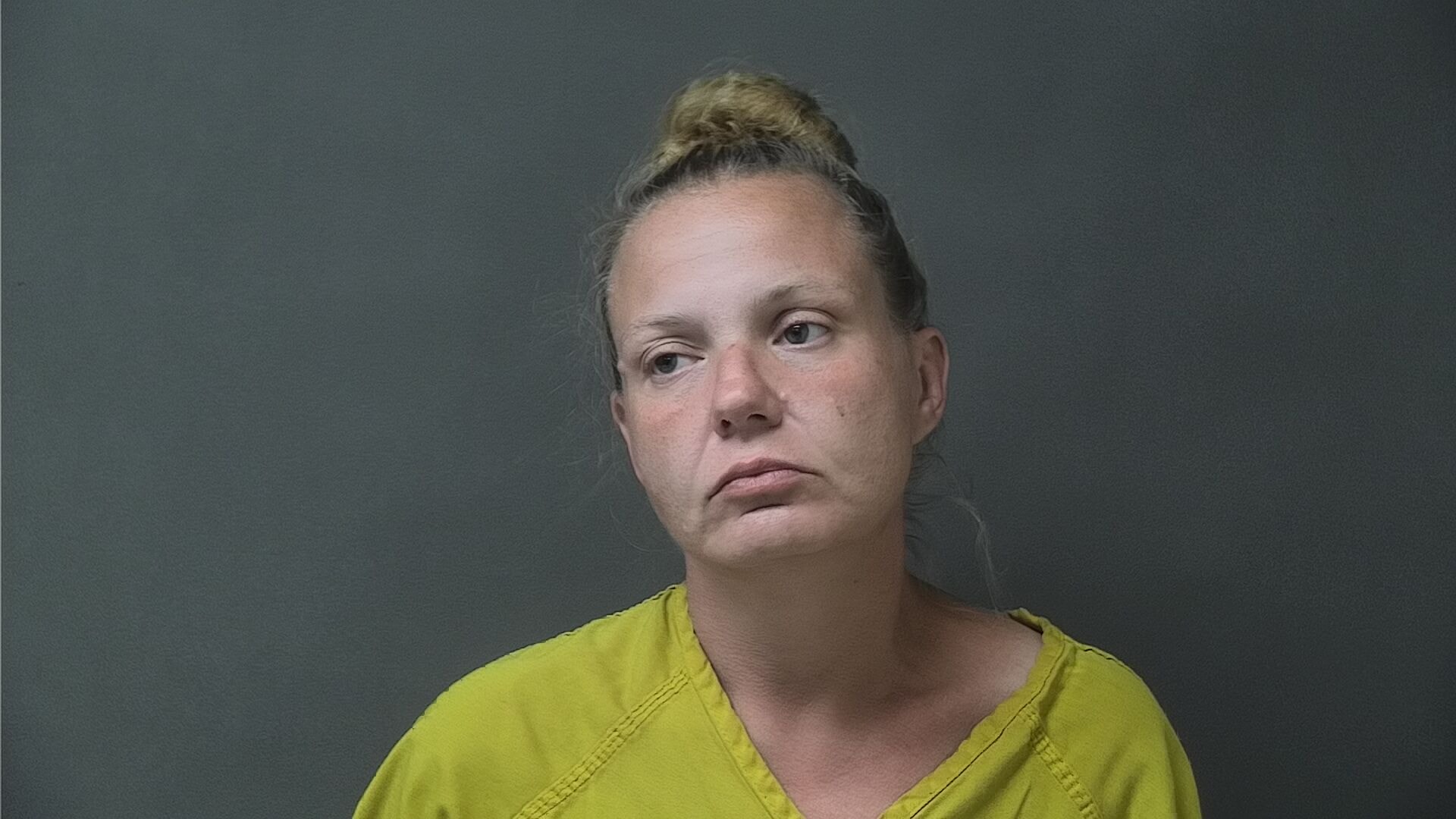 Mugshot of TERESA DIMPLE N/A COOK