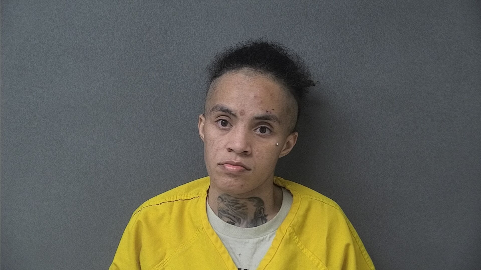 Mugshot of CAITLYN NICOLE N/A SALAM